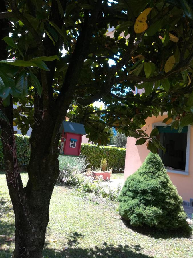La Moia Bed and Breakfast Cerete Εξωτερικό φωτογραφία