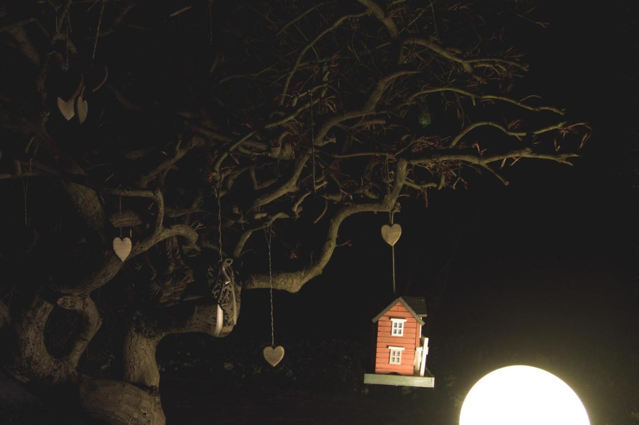 La Moia Bed and Breakfast Cerete Εξωτερικό φωτογραφία