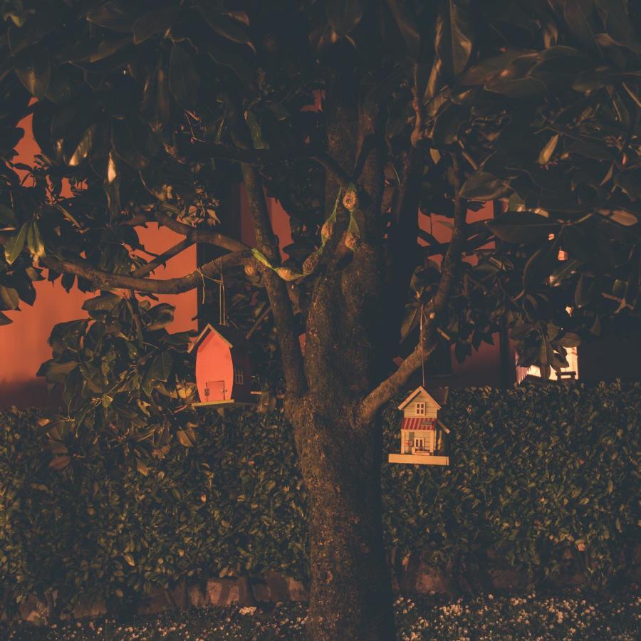 La Moia Bed and Breakfast Cerete Εξωτερικό φωτογραφία